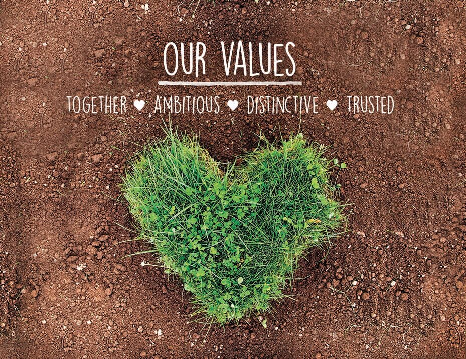 Our Values 